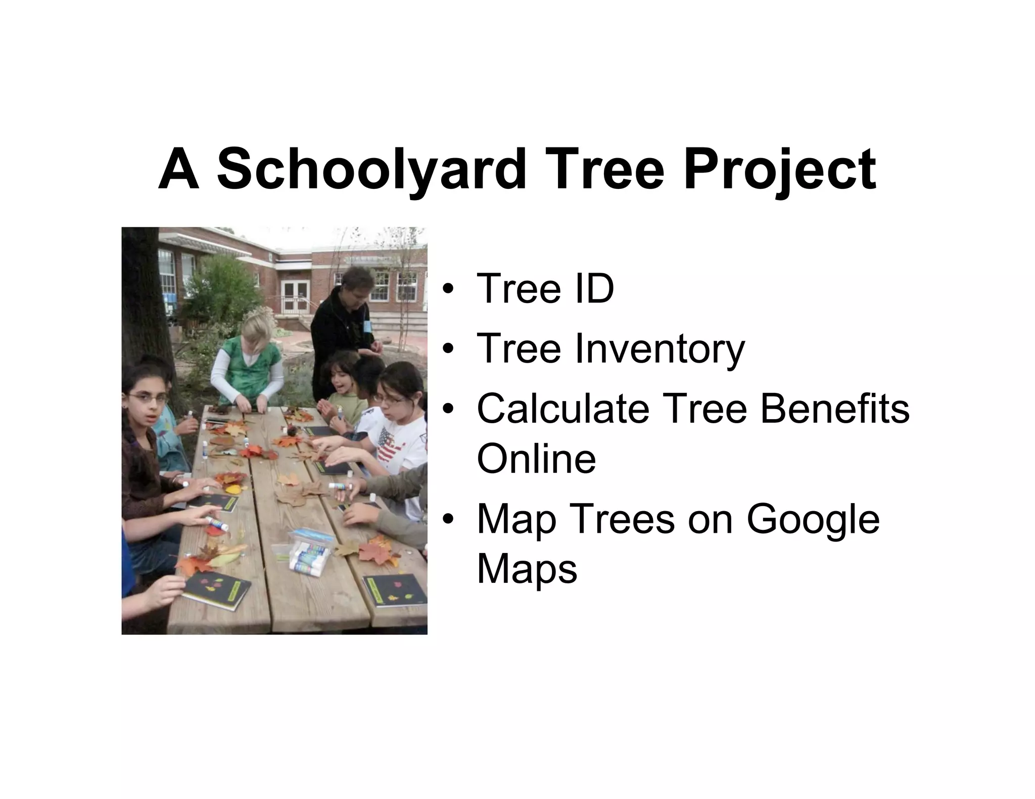 A Schoolyard Tree Project
         • Tree ID
         • Tree Inventory
         • Calculate Tree Benefits
           Online
         • Map Trees on Google
           Maps
 