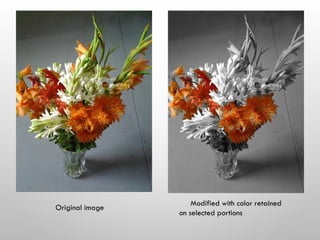 Original image
Modified with color retained
on selected portions
 