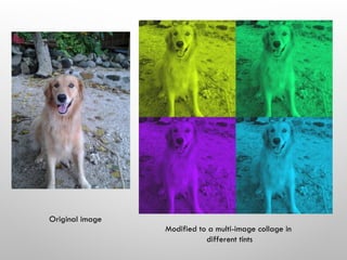 Original image
Modified to a multi-image collage in
different tints
 