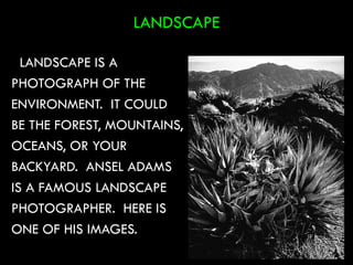 LANDSCAPE
LANDSCAPE IS A
PHOTOGRAPH OF THE
ENVIRONMENT. IT COULD
BE THE FOREST, MOUNTAINS,
OCEANS, OR YOUR
BACKYARD. ANSEL ADAMS
IS A FAMOUS LANDSCAPE
PHOTOGRAPHER. HERE IS
ONE OF HIS IMAGES. 57
 