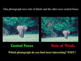 67
Which photograph do you find more interesting? WHY?
One photograph uses rule of thirds and the other uses central focus.
Central Focus Rule of Thirds
 
