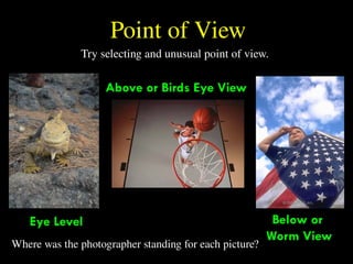 82
Point of View
Try selecting and unusual point of view.
Where was the photographer standing for each picture?
Eye Level
Above or Birds Eye View
Below or
Worm View
 