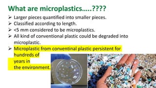 Technology Biodegradable Additive.pdf