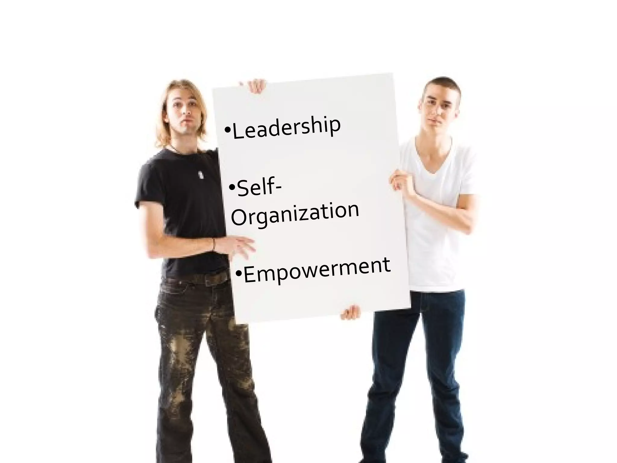 Leadership Self-Organization Empowerment 