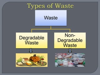 Waste 
Degradable 
Waste 
Non- 
Degradable 
Waste 
 