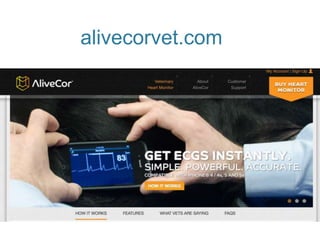 alivecorvet.comm
 