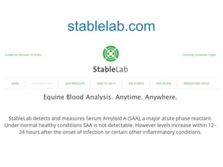 stablelab.com
 