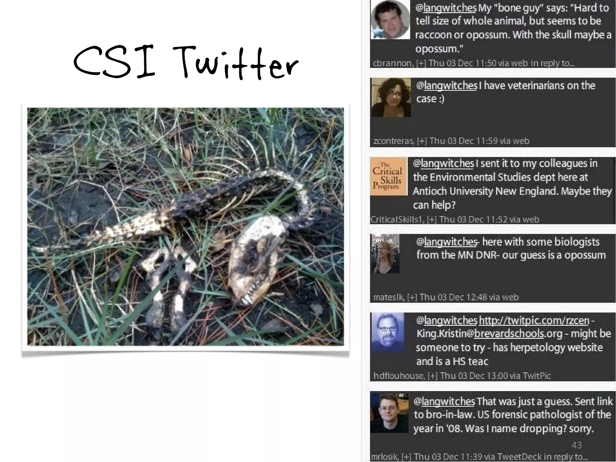 CSI Twitter