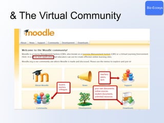 Biz-Ecosys 
& The Virtual Community 
 