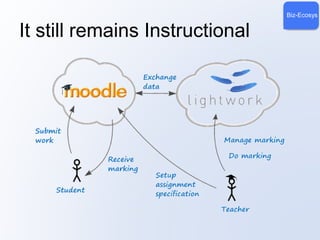 Biz-Ecosys 
It still remains Instructional 
 