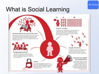 Biz-Ecosys 
What is Social Learning 
 