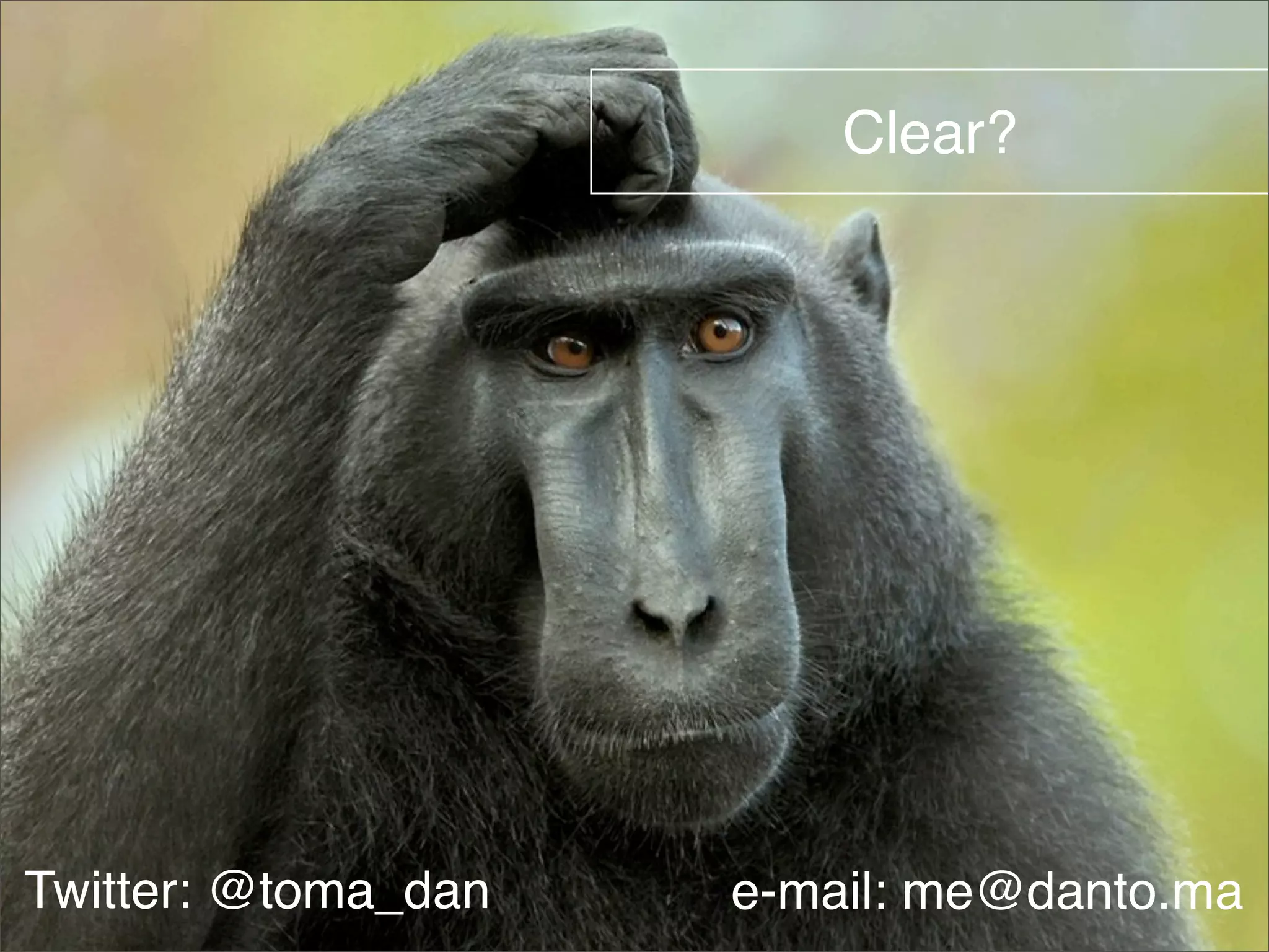 Clear? 
Twitter: @toma_dan e-mail: me@danto.ma 
