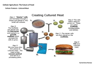 Technology overview - cellular-agriculture | PPTX