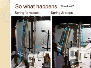 So what happens…
Spring 1: relaxes Spring 2: stops
components
When I wait?
 