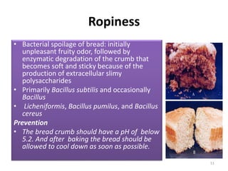 Bread Ropiness Technology of food product bread | PPTX