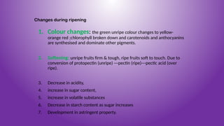 Technology of Fruits and Vegetables.pptx