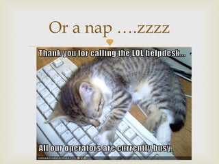 
Or a nap ….zzzz
 