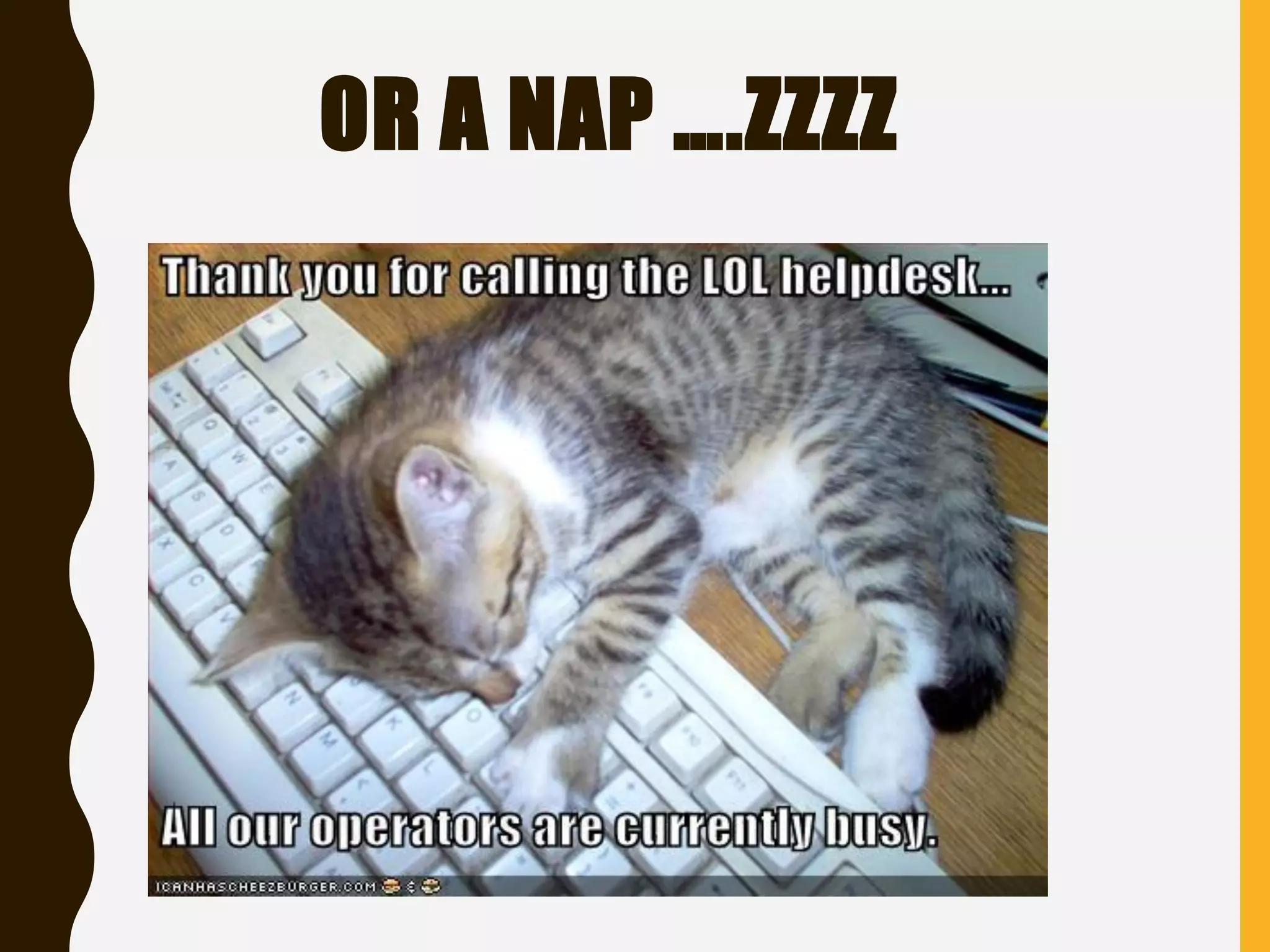 OR A NAP ….ZZZZ
 