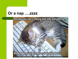 Or a nap ….zzzz
 