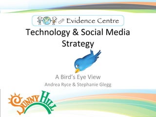 Technology & Social Media
Strategy
A Bird’s Eye View
Andrea Ryce & Stephanie Glegg
CDR
 