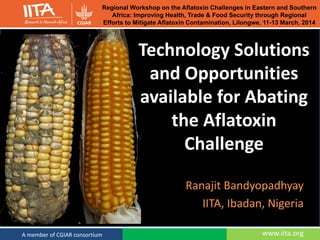 www.iita.orgA member of CGIAR consortium
Ranajit Bandyopadhyay
IITA, Ibadan, Nigeria
Technology Solutions
and Opportunities
available for Abating
the Aflatoxin
Challenge
Regional Workshop on the Aflatoxin Challenges in Eastern and Southern
Africa: Improving Health, Trade & Food Security through Regional
Efforts to Mitigate Aflatoxin Contamination, Lilongwe, 11-13 March, 2014
 