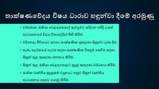 තාක්ෂණවේදය විෂය ධාරාව හඳුන්වා දීවේ අරමුණු
 වර්තමාන රැකියා පවළඳපෙොපල් ඉල්ලුමෙ සරිලන ෙරිදි උසස්
අධයාෙනපේ විදයා විශාරදයින් බිහි කිරීම.
 එදිපනදා ජීවිතයෙ අවශය තාක්ෂණි කුසලතා සිසුන්ෙ ලබා දීම.
 සැබෑ පලෝ පේ ගැෙළු සඳ ා තාක්ෂණි විසඳුම් පසවීම සඳ ා
සිසුන් තුළ කුසලතා ජනනය කිරීම.
 සිසුන් තුළ රැකියා පවළඳපෙොළෙ සුදුසු කුසලතා වර්ධනය කිරීම.
 ජාති වෘත්තීය සුදුසු ම් වු යෙ අනුව සිසුන් වෘත්තීය
අධයාෙනය පදසෙ පයොමු කිරීම.
 