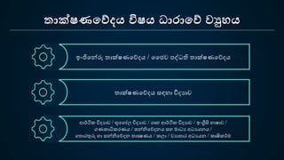 තාක්ෂණවේදය විෂය ධාරාවේ වුහය
ඉංජිපන්රු තාක්ෂණපේදය / ජජව ෙද්ධති තාක්ෂණපේදය
තාක්ෂණපේදය සඳ ා විදයාව
ආර්ථි විදයාව / භූපගෝල විදයාව / ගෘ ආර්ථි විදයාව / ඉංග්‍රීසි භාෂාව /
ගණ ාධි රණය / සන්නිපේදනය ස මාධය අධයයනය /
පතොරතුරු ා සන්නිපේදන තාක්‍ෂණය / ලා / වයාොර අධයයන / ෘෂි ර්ම
 
