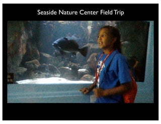 Vortex
Sorting, Classifying, Categorizing
 