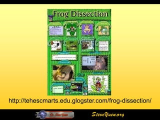 http://tehescmarts.edu.glogster.com/frog-dissection/

                              SteveYuen.org
 