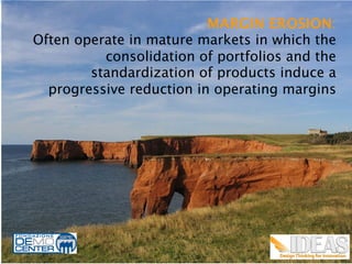 MARGIN EROSION:
Often operate in mature markets in which the
          consolidation of portfolios and the
        standardization of products induce a
  progressive reduction in operating margins	
  




                                               3
 