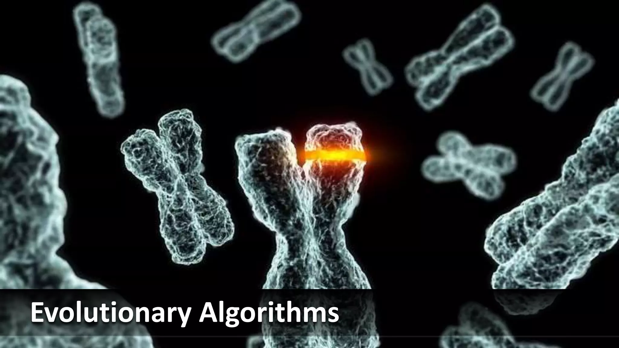 Evolutionary Algorithms
 