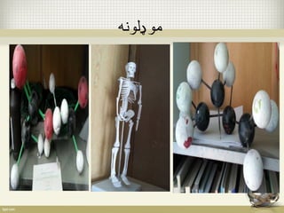 موډلون 
 