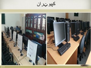 کپیوټران 
 