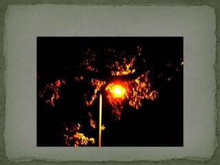 Technology Vs Nature