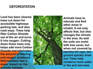 DEFORESTATION

Land has been cleared,     Animals have to
trees cut down for         relocate and find
accessible highways        other areas in
parking lots, and also     inhabit. It not only
road ways. Trees help      affects that, but also
filter Carbon Dioxide      changes the climate
out of the air and turns   in the area. As well
it into oxygen. Cutting    the soils are moist
down these trees only      with tree cover, but
helps add more Carbon      when not covered by
Dioxide and eliminates     harmful UV rays, the
the amount of filtering    ground quickly dries
and oxygen produced.       out. Trees help
Deforestation has a        conserve more water
major impact on the        in the soil and area
animals habitats.
 