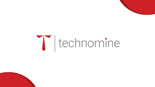 Technomine remote teams - a diverse offering
