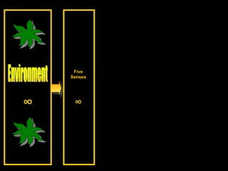 Environment ∞ Five Senses ∞ 