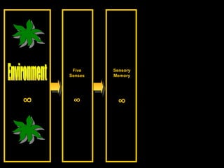 Sensory Memory ∞ Environment ∞ Five Senses ∞ 