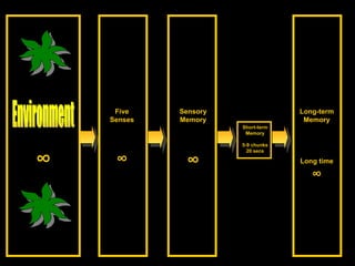 Sensory Memory ∞ Short-term Memory 5-9 chunks 20 secs Environment ∞ Five Senses ∞ Long-term Memory Long time ∞ 