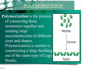 Polymerization is the process
of connecting these
monomers together and
creating large
macromolecules of different
sizes and shapes.
Polymerization is similar to
constructing a large building
out of the same type of Lego
blocks.
POLYMERIZATION
 