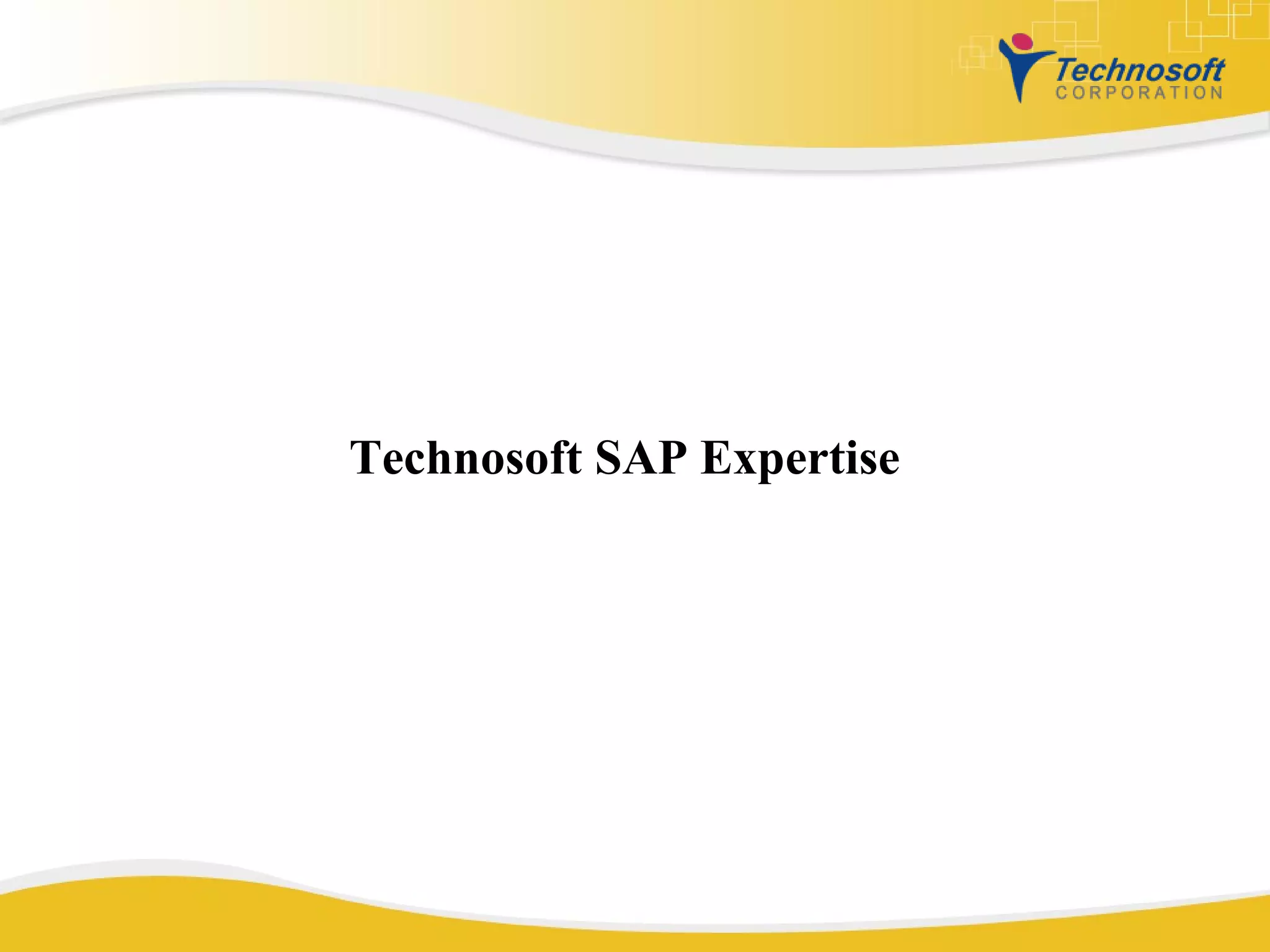 Technosoft SAP Expertise 