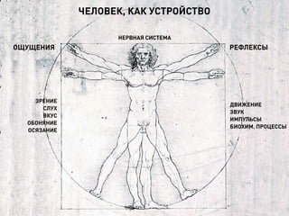 ЧЕЛОВЕК, КАК УСТРОЙСТВО
ЗРЕНИЕ
СЛУХ
ВКУС
ОБОНЯНИЕ
ОСЯЗАНИЕ
ОЩУЩЕНИЯ РЕФЛЕКСЫ
ДВИЖЕНИЕ
ЗВУК
ИМПУЛЬСЫ
БИОХИМ. ПРОЦЕССЫ
НЕРВНАЯ СИСТЕМА
 