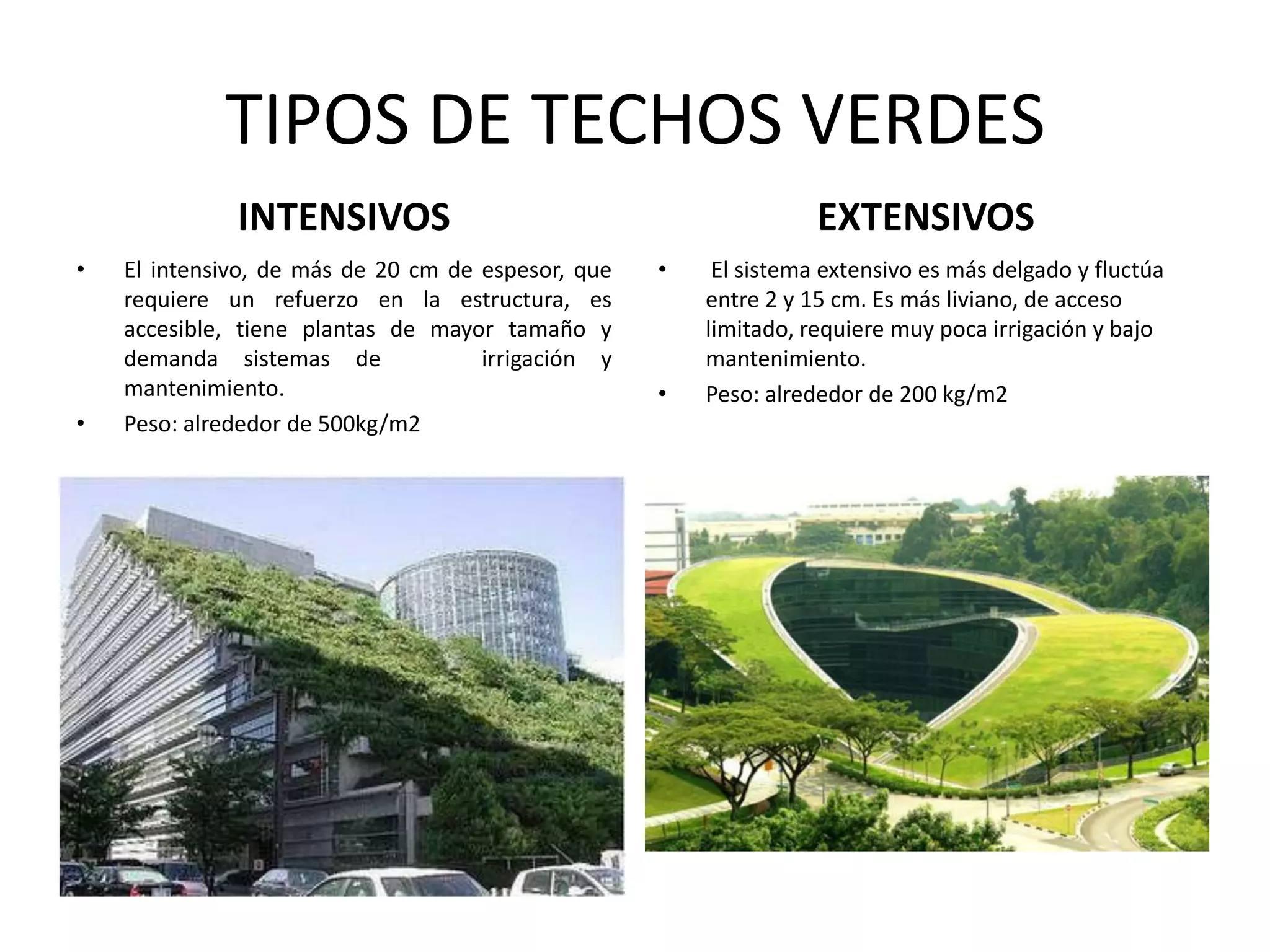 TIPOS DE TECHOS VERDESINTENSIVOSEXTENSIVOSEl intensivo, de más de 20 cm de espesor, que requiere un refuerzo en la estructura, es accesible, tiene plantas de mayor tamaño y demanda sistemas de    irrigación y mantenimiento.Peso: alrededor de 500kg/m2  El sistema extensivo es más delgado y fluctúa entre 2 y 15 cm. Es más liviano, de acceso limitado, requiere muy poca irrigación y bajo mantenimiento.Peso: alrededor de 200 kg/m2