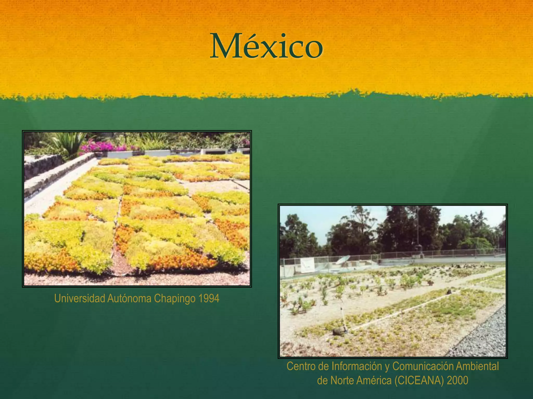 México
Universidad Autónoma Chapingo 1994
Centro de Información y Comunicación Ambiental
de Norte América (CICEANA) 2000
 