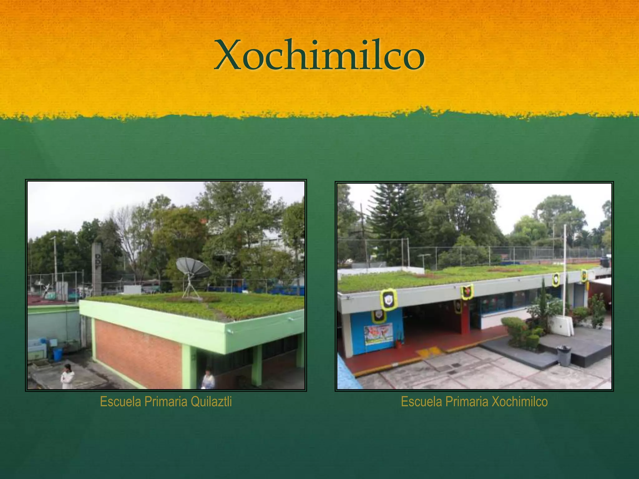 Xochimilco
Escuela Primaria Quilaztli Escuela Primaria Xochimilco
 
