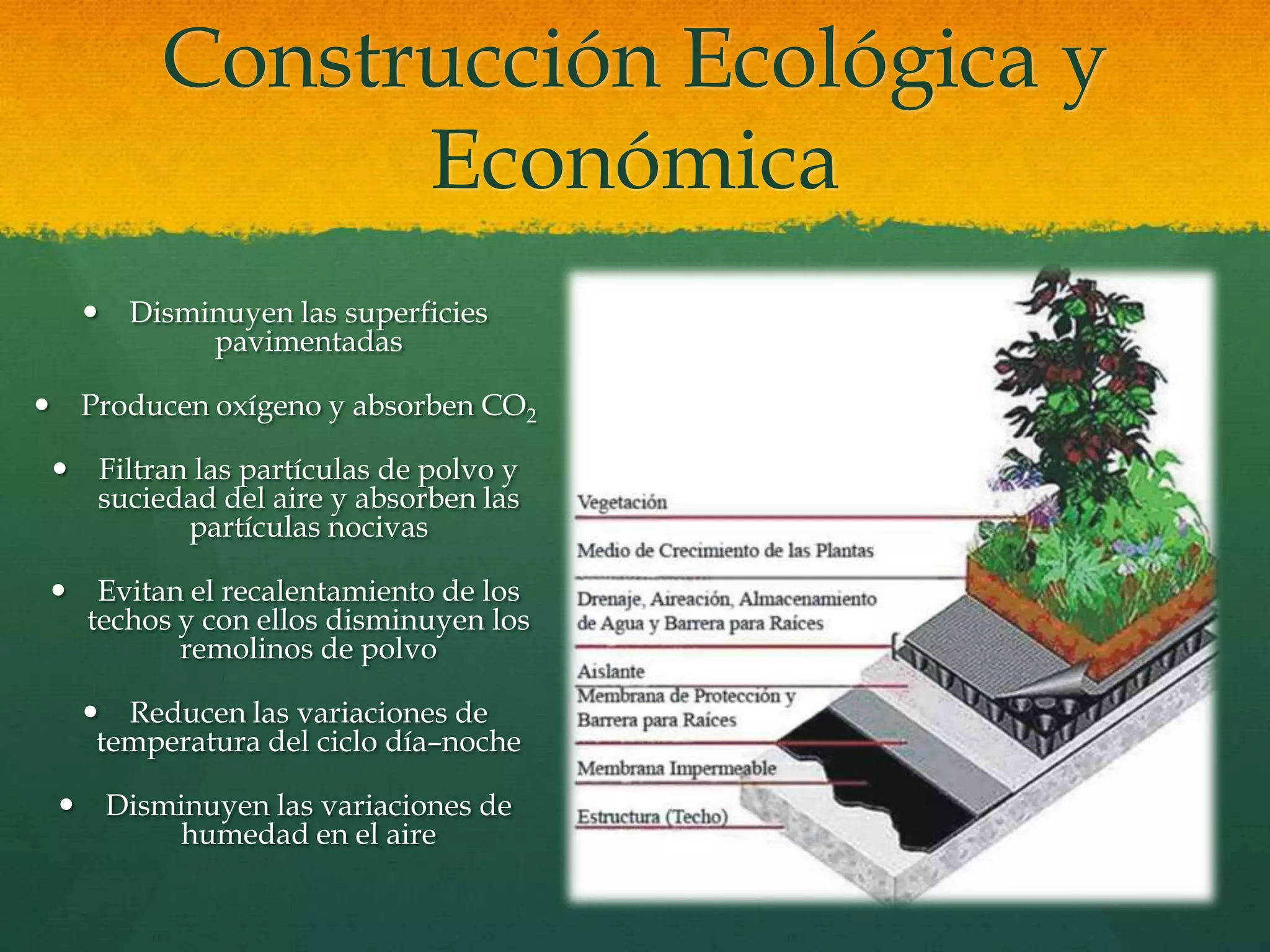 Construcción Ecológica y
Económica
 Disminuyen las superficies
pavimentadas
 Producen oxígeno y absorben CO2
 Filtran las partículas de polvo y
suciedad del aire y absorben las
partículas nocivas
 Evitan el recalentamiento de los
techos y con ellos disminuyen los
remolinos de polvo
 Reducen las variaciones de
temperatura del ciclo día–noche
 Disminuyen las variaciones de
humedad en el aire
 