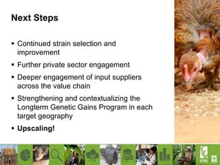Increasing productivity of chickens through the African Chicken Genetic Gains (ACGG) project