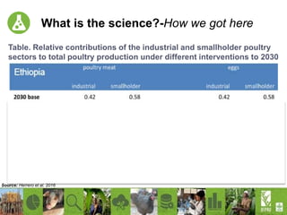 Increasing productivity of chickens through the African Chicken Genetic Gains (ACGG) project