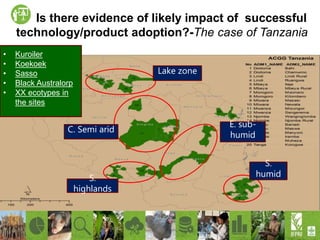 Increasing productivity of chickens through the African Chicken Genetic Gains (ACGG) project
