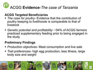 Increasing productivity of chickens through the African Chicken Genetic Gains (ACGG) project